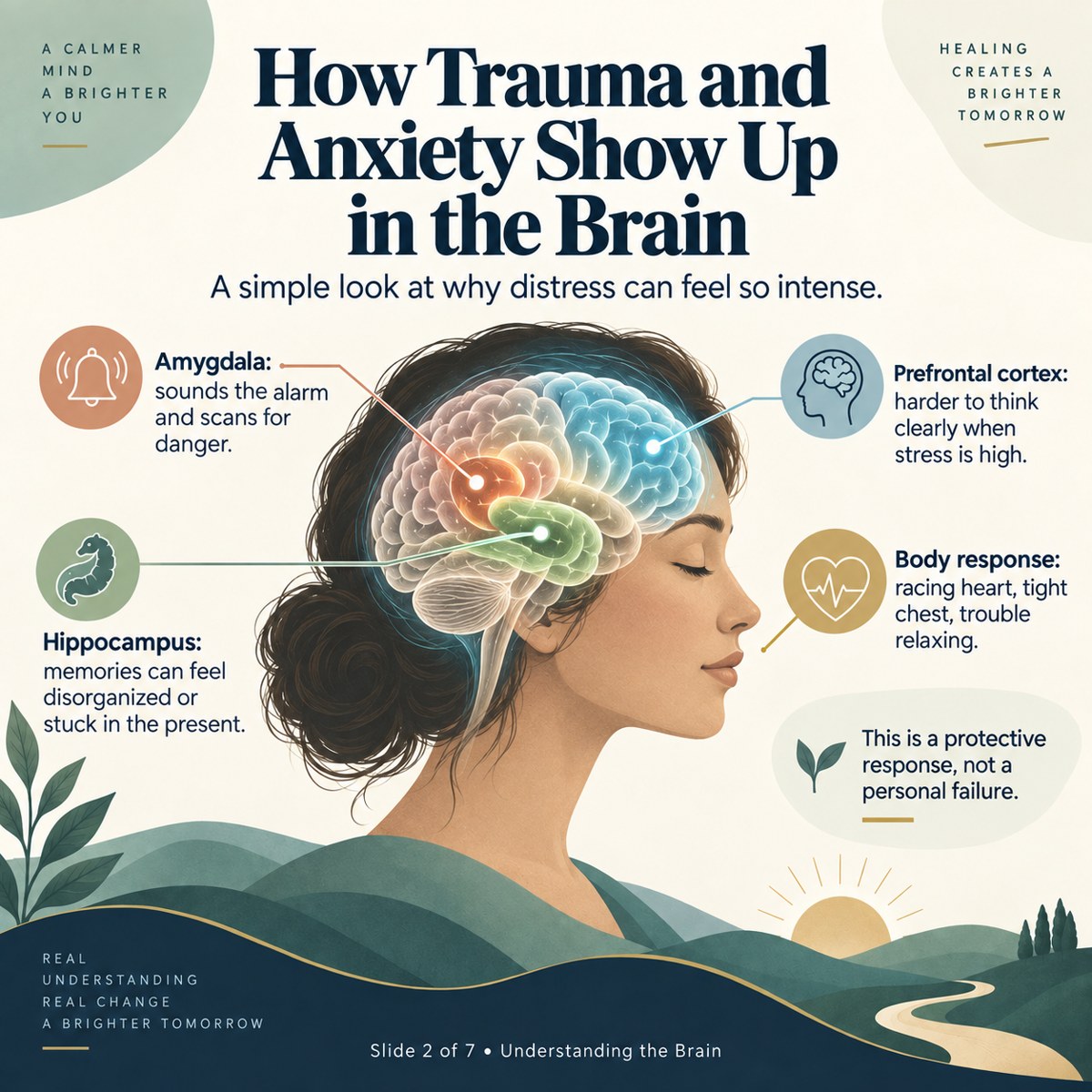 How Trauma and Anxiety Show Up in the Brain. This is a simplified network illustration, not an individual diagnosis. Anxiety and bodily sensations have multiple possible explanations; a diagram cannot determine their cause.